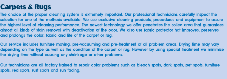Yolanda's Carpet, Upholstery and Leather Cleaning in Los Angeles