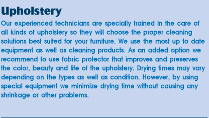 Yolanda's Carpet, Upholstery and Leather Cleaning in Los Angeles